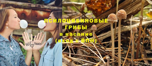 дурь Козельск