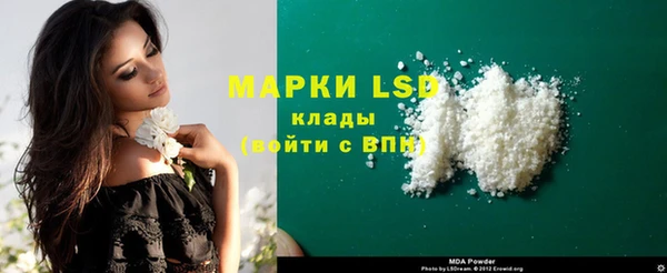 гашик Корсаков