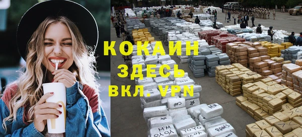 дживик Козловка