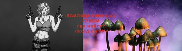 дживик Козловка